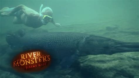 Will Alligator Gars Attack Humans? - River Monsters - YouTube