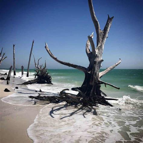 Lovers Key State Park: We love the kayaking, beach, manatees