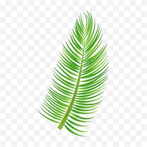 Premium Vector | Vector tropical palm leaf isolated on white realistic green summer plant tree ...