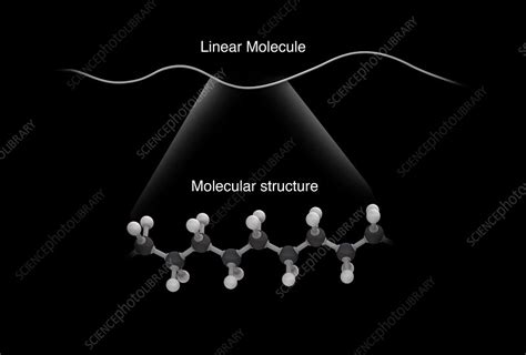 Linear molecule, illustration - Stock Image - C026/2866 - Science Photo Library