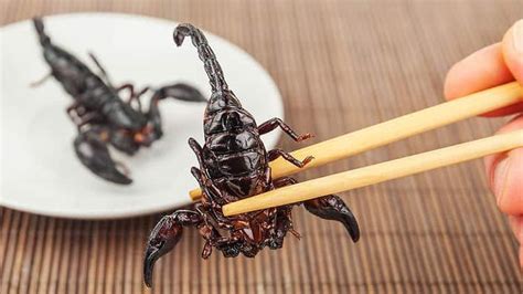 Eating Scorpions: Survival Food or Survival of The Planet