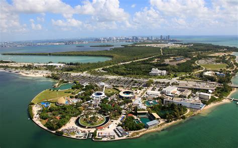 Miami Seaquarium, Welcome To The Family! - The Dolphin Company