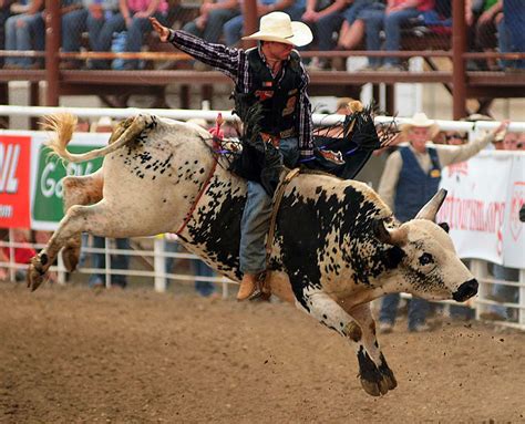 ‘Rodeo cowboys want to have fun’ | WyoFile