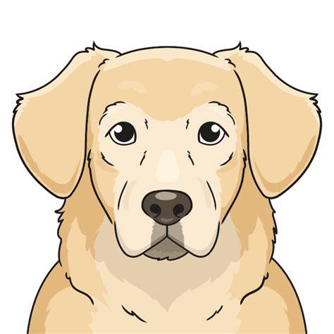 How To Draw A Realistic Golden Retriever Puppy