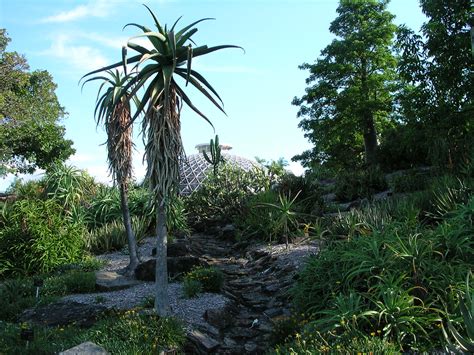 Brisbane Botanic Gardens, Mount Coot-tha | brewbooks | Flickr
