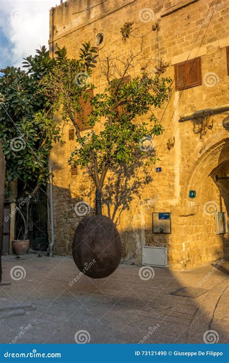 Suspended Jaffa Orange Tree in Old Jaffa Stock Photo - Image of historic, architecture: 73121490