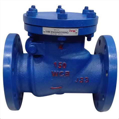 Check Valves Manufacturer,Supplier In Ahmedabad, Gujarat