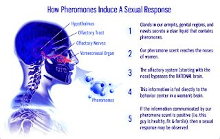 Pheromones