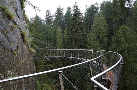 Out Last Night: Capilano Suspension Bridge and Cliff Walk, North ...