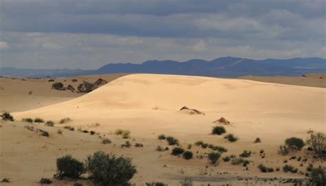 What Is the Average Yearly Rainfall in the Sahara Desert? | Sciencing