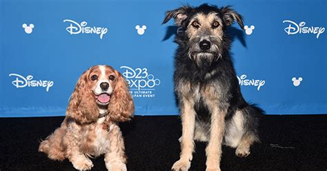 We Finally Have the First Trailer for Disney’s Live-Action ‘Lady and the Tramp’