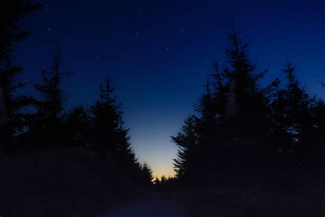 Nice View Between Forest Trees At Evening Sky Wallpaper, HD Nature 4K Wallpapers, Images, Photos ...