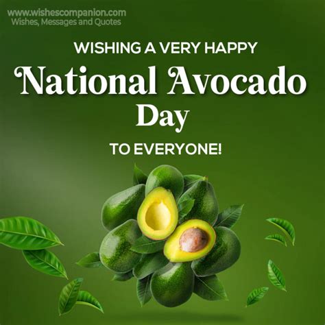 National Avocado Day Wishes, Messages, and Quotes