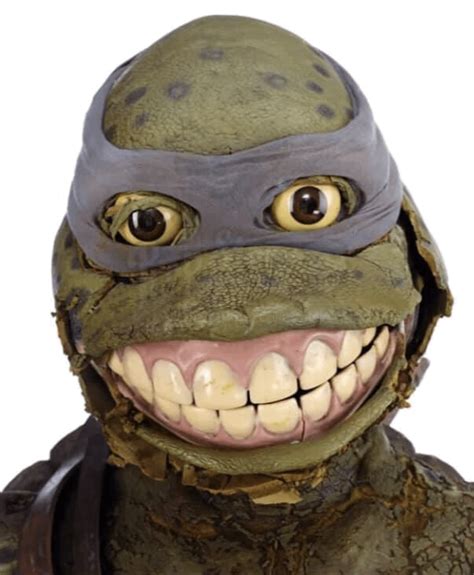 WHERE ARE THEY NOW: Leonardo costume from TMNT III : r/TMNT