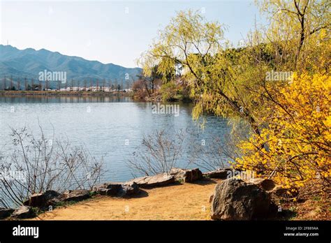 Spring of Seoul grand park in Gwacheon, Korea Stock Photo - Alamy