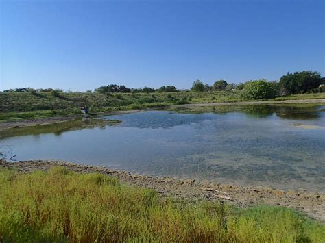 Brush control no help for water supplies, lake sedimentation