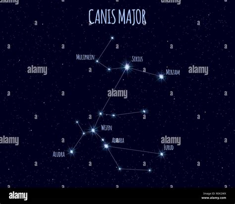 Canis Major (The Great Dog) constellation, vector illustration with the names of basic stars ...