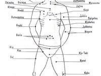 19 curated Kyusho Jitsu ideas by egjkuhn | Pressure points, Respiratory system and Massage