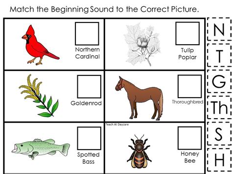 30 Kentucky State Symbols Themed Learning Games Download. ZIP | Etsy