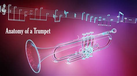 Trumpet Parts Diagram