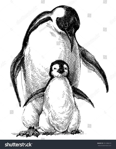 2.204 Penguin family drawing: immagini, foto stock e grafica vettoriale | Shutterstock