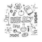 Science doodles seamless vector pattern. Biology symbols. — Stock Vector © kay_mosk #119329810