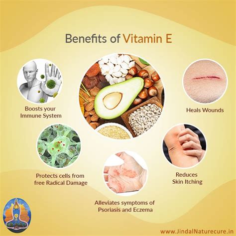 The benefits of adding vitamin E to your diet • Boosts your immune ...