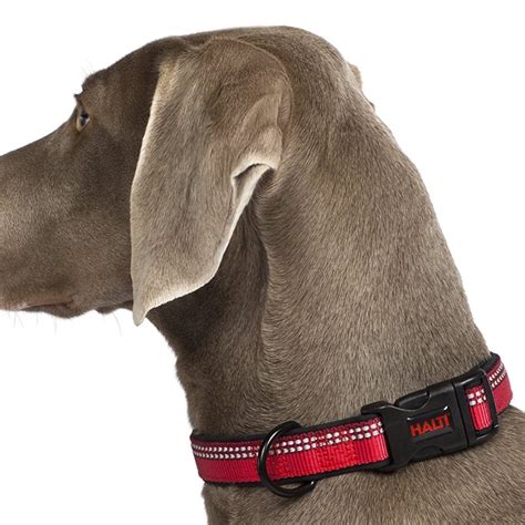 CoA Halti Collar Various Sizes & Colours – Purely Dogs