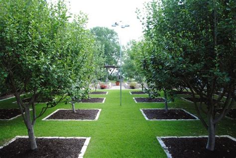 Orchard and Vegetable Garden - Gardenista | Fruit trees garden design, Orchard garden, Fruit ...