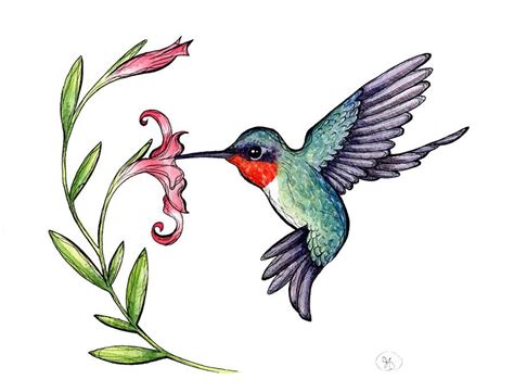 Ruby throated hummingbird. Want this to represent Ru in my tattoo ...