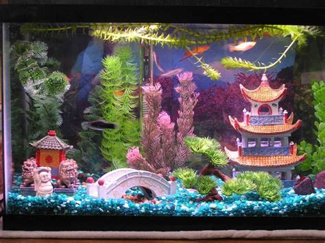 View source image | Cool fish tank decorations, Fish tank themes, Fish ...