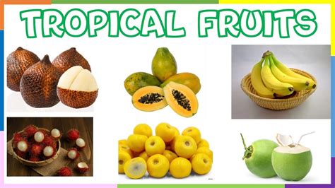 Tropical Fruits Tropical Fruits List with “Juicy” Pictures - YouTube