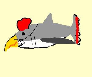 A shark wearing a chicken suit. - Drawception