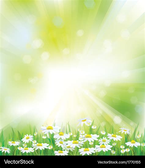 Spring background flowers Royalty Free Vector Image