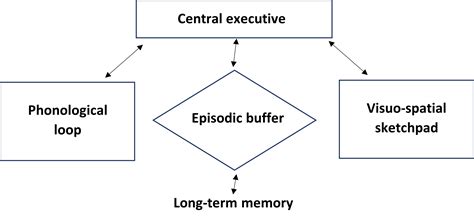 Memory – Working Memory Model – The Tutor Academy