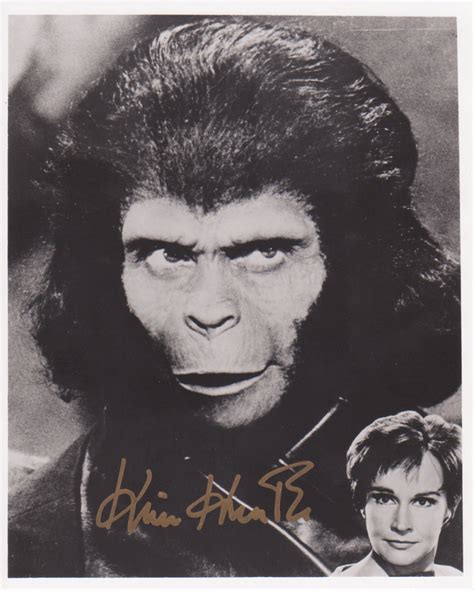 Archives Of The Apes: Kim Hunter (Zira)