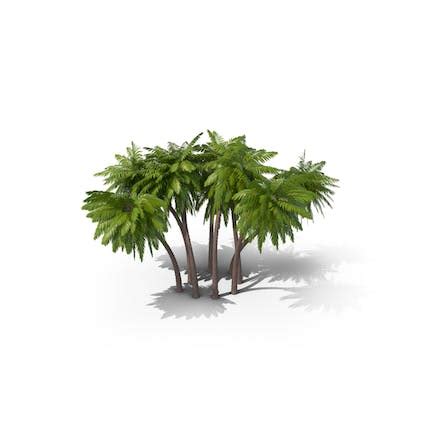 Low Poly Palm Trees 3D, Incl. natural & nature - Envato Elements