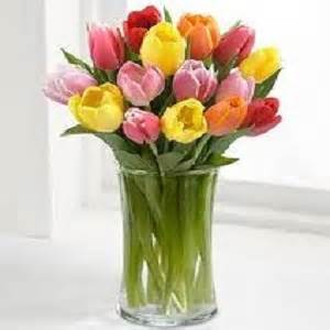 How to Care for Fresh Cut Tulips