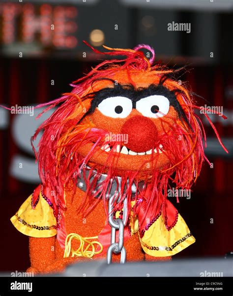 Muppet animal hi-res stock photography and images - Alamy