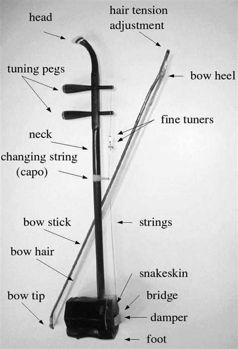 Chart of the Erhu | Traditional music, Learn violin, Music appreciation