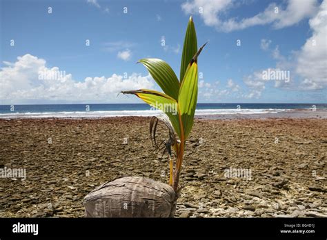 Formerly known as the ellice islands hi-res stock photography and ...