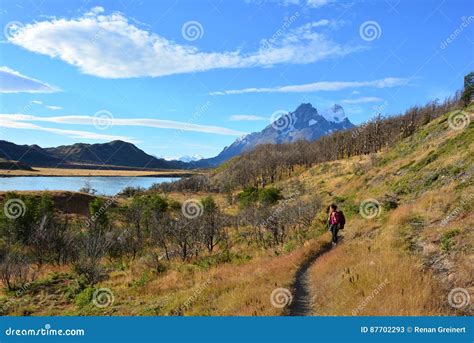 Woman Backpacker in Torres Del Paine National Park, Chile Editorial Stock Photo - Image of ...