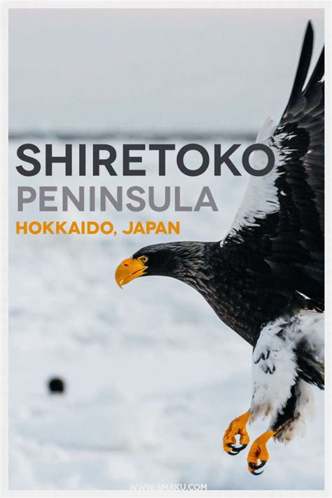 Shiretoko Peninsula – Taku Kumabe Photography and Design