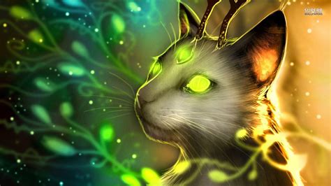 Magic Cat Wallpapers - Top Free Magic Cat Backgrounds - WallpaperAccess