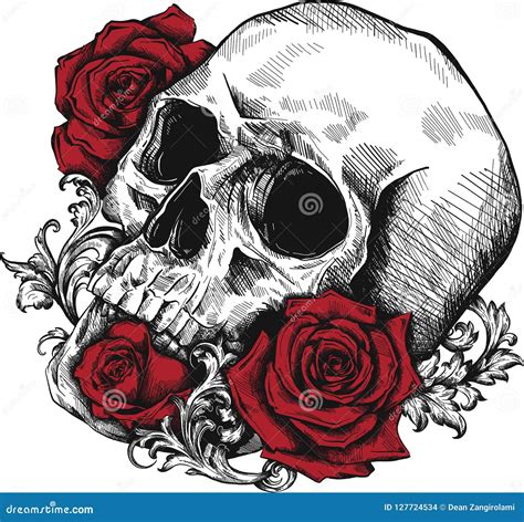 A Human Skull with Roses on White Background Stock Vector - Illustration of arrangement ...