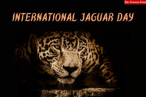 International Jaguar Day 2023 Theme, Quotes, Images, Messages, Slogans, Cliparts, and Captions ...