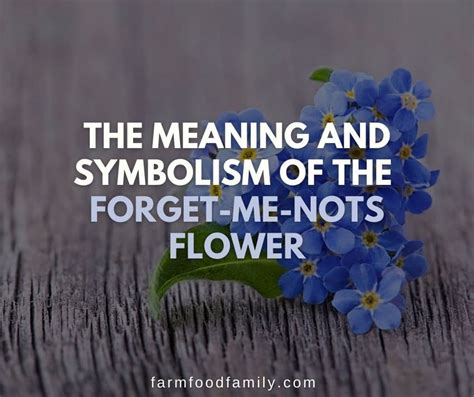 The Meaning and Symbolism of the Forget-Me-Nots Flower