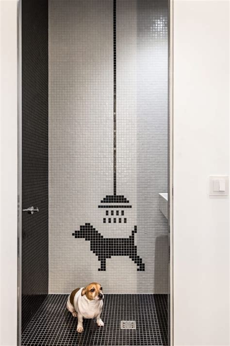 dog shower | Interior Design Ideas