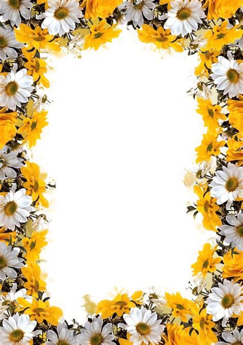 Imagens PNG alta resolução download grátis. | Flower background wallpaper, Sunflower wallpaper ...