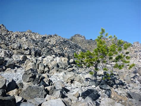 Rhyolite lava: Newberry National Volcanic Monument, Oregon